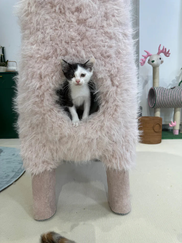 2 Meters Luxury Alpaca-Fabric Cat Tunnels & Cat Trees – Premium Pet Furniture