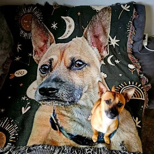 Personalized Pet Portrait Blanket