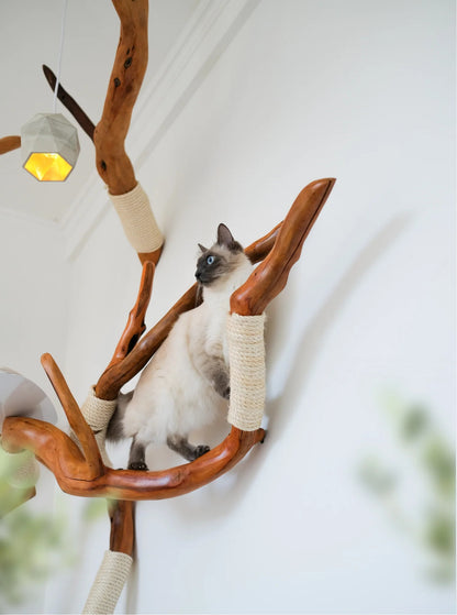 Beauty, quality, durability cat furniture