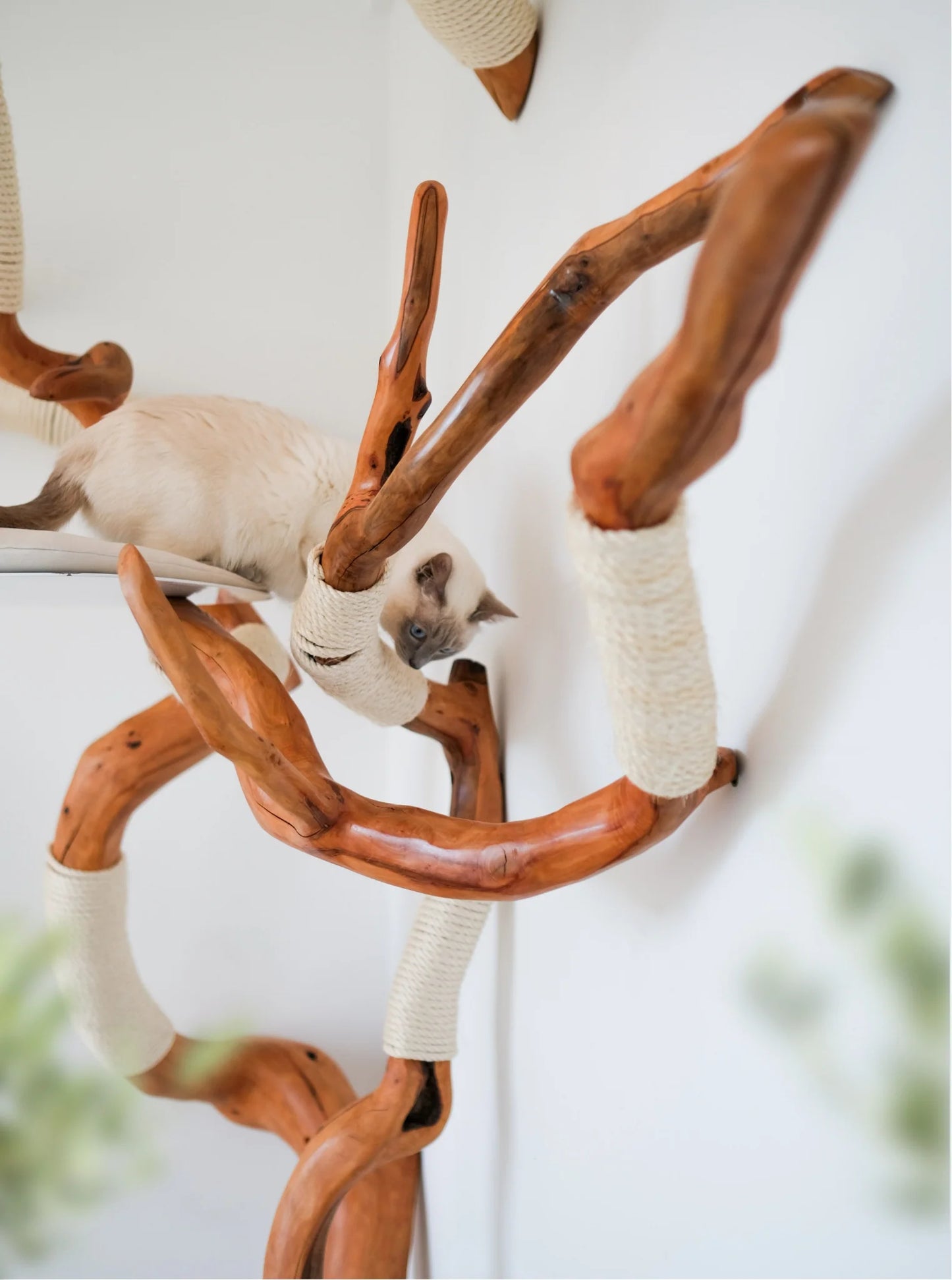 Beauty, quality, durability cat furniture