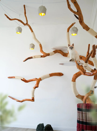 Beauty, quality, durability cat furniture