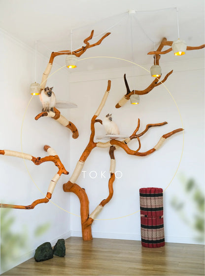 Beauty, quality, durability cat furniture