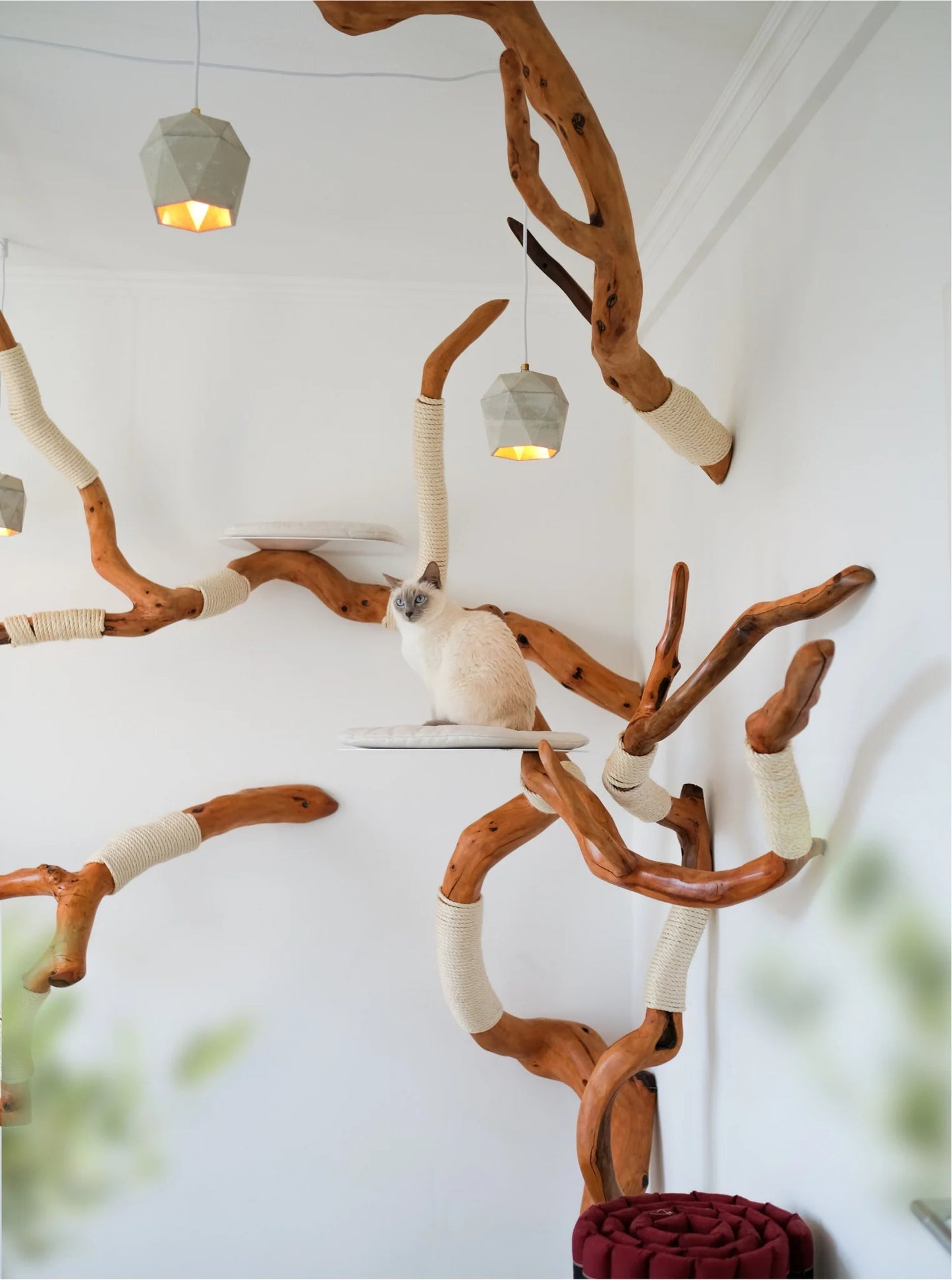 Beauty, quality, durability cat furniture