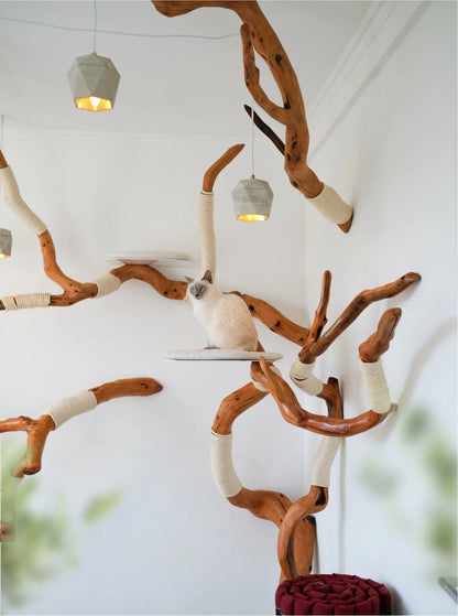 Beauty, quality, durability cat furniture