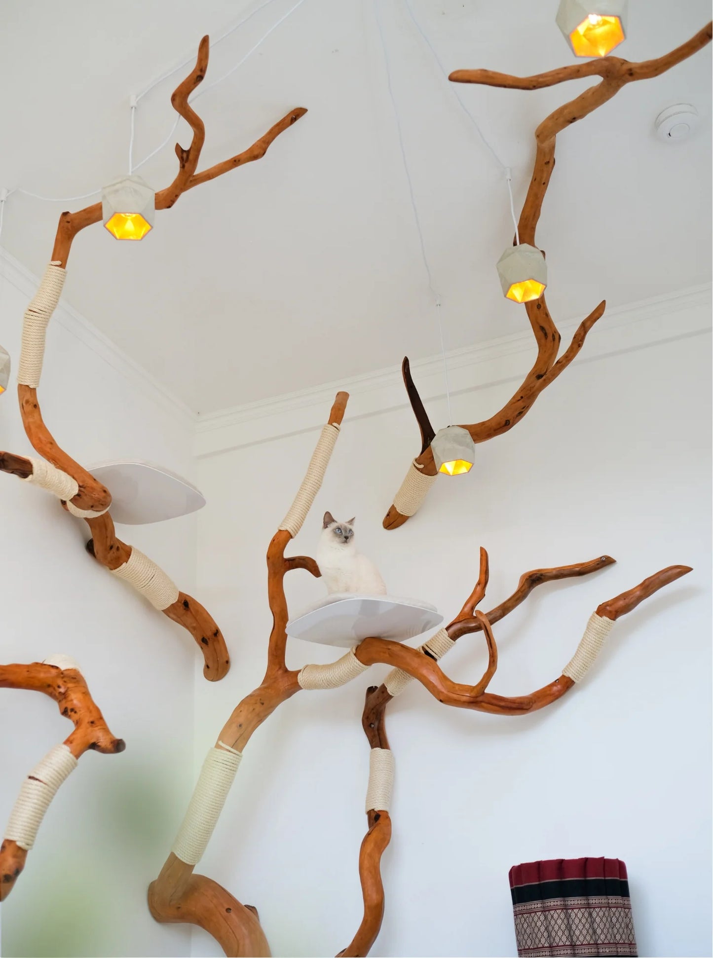 Beauty, quality, durability cat furniture