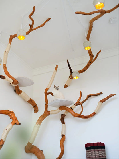 Beauty, quality, durability cat furniture