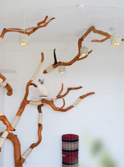 Beauty, quality, durability cat furniture