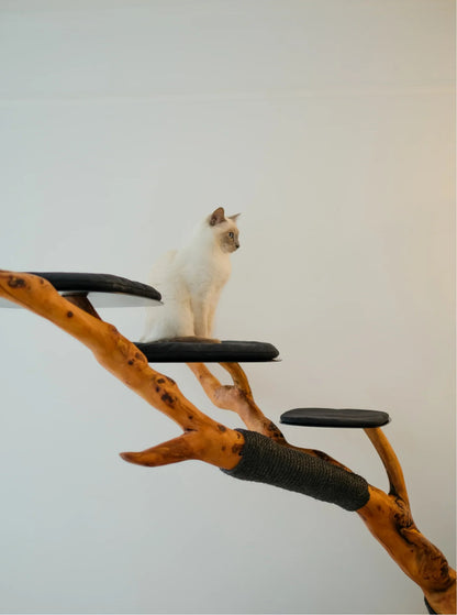 Beauty, quality, durability cat furniture