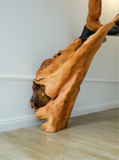 Beauty, quality, durability cat furniture