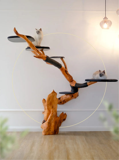 Beauty, quality, durability cat furniture