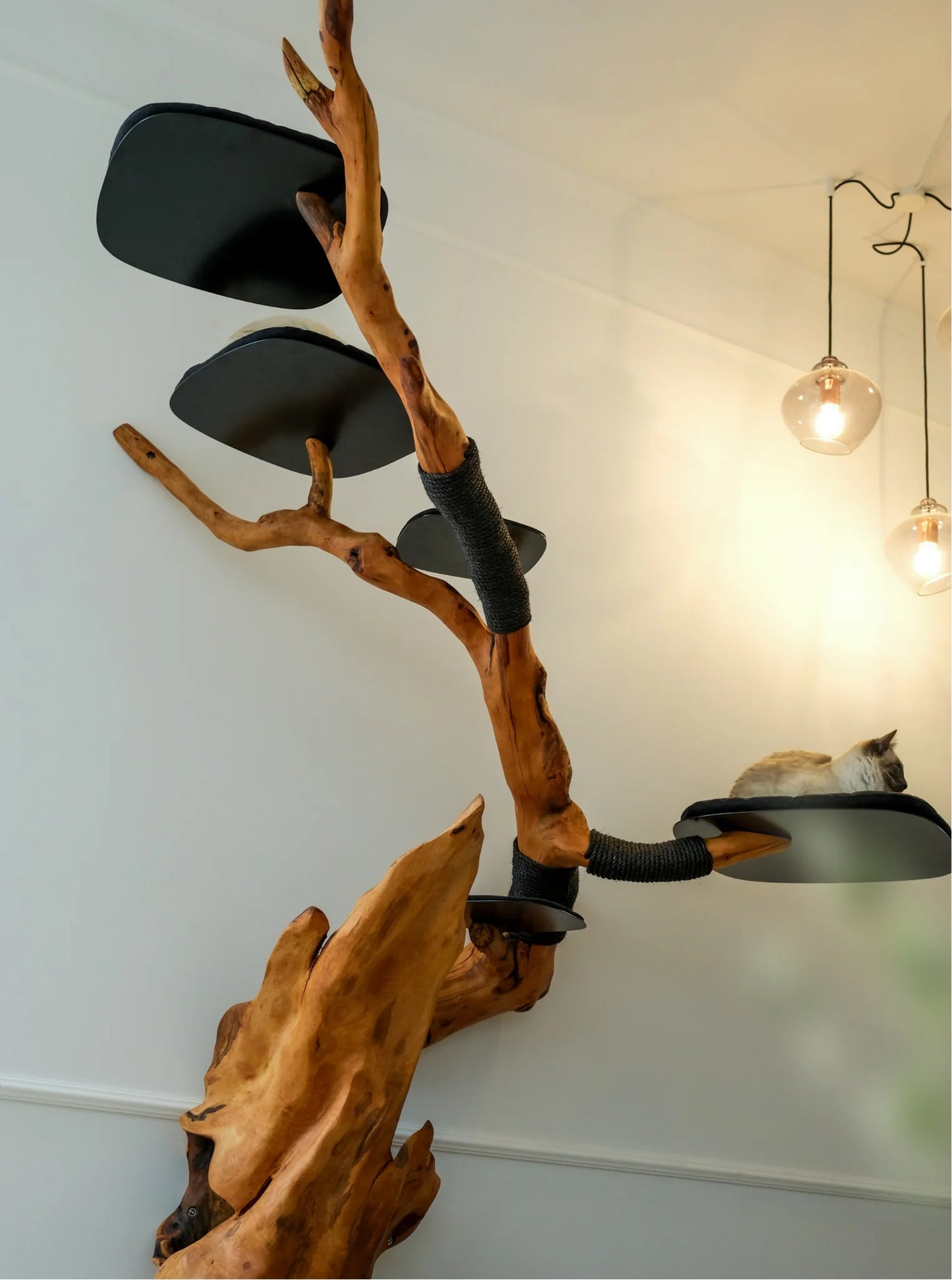 Beauty, quality, durability cat furniture