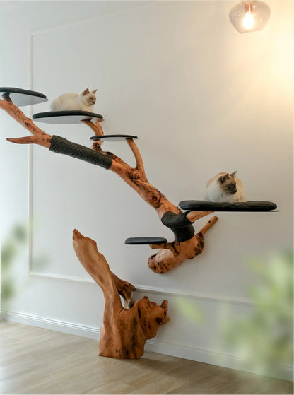 Beauty, quality, durability cat furniture