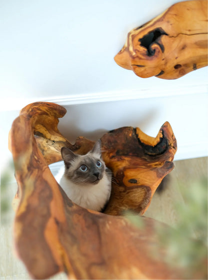 Beauty, quality, durability cat furniture