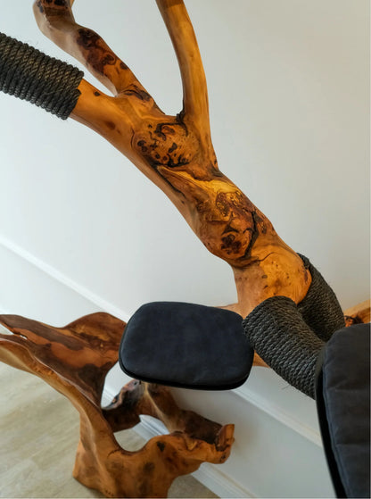 Beauty, quality, durability cat furniture