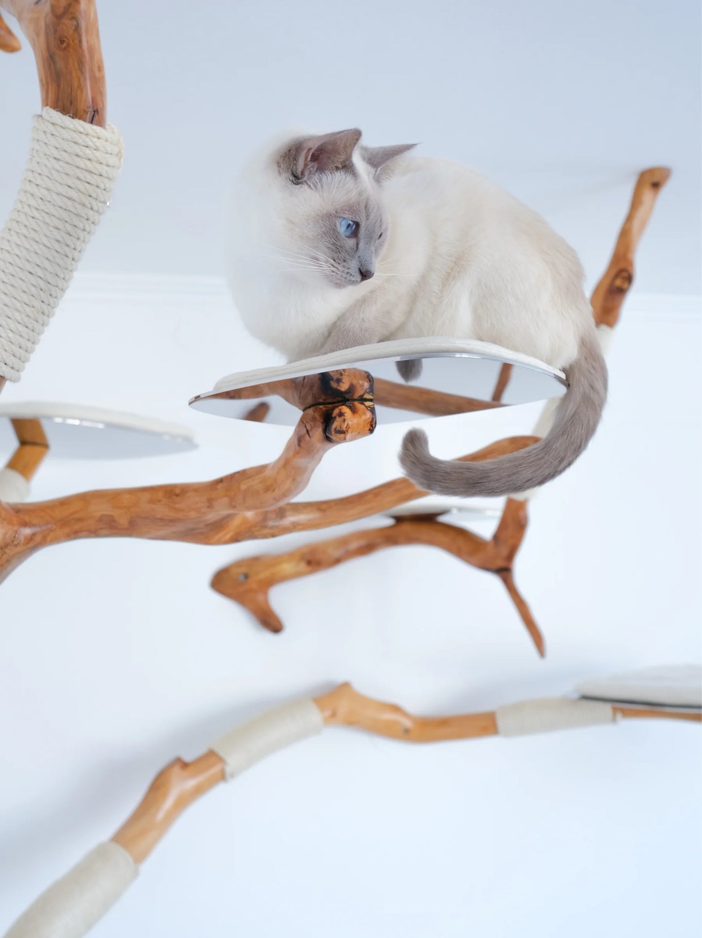 Beauty, quality, durability cat furniture