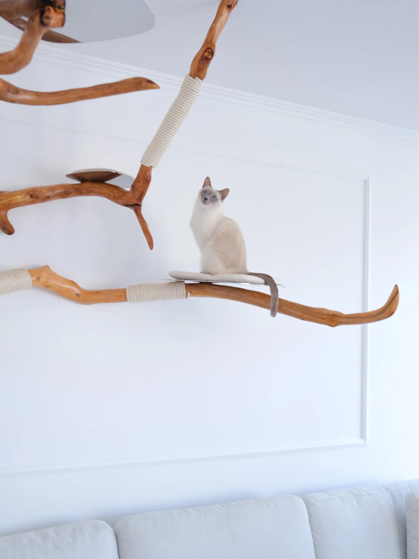 Beauty, quality, durability cat furniture