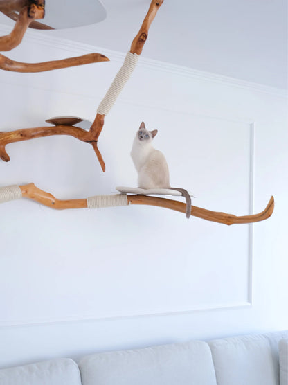 Beauty, quality, durability cat furniture