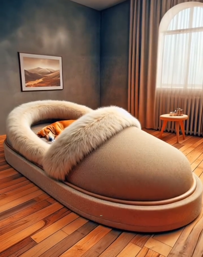 These Shoes Shaped Pet Will Make Your Home Fun